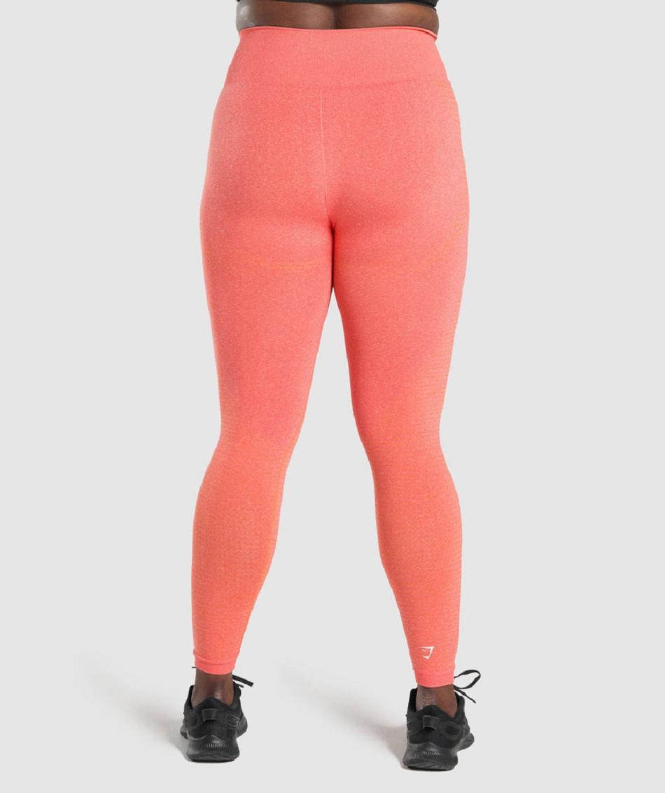 Leggins Gymshark Vital Seamless 2.0 Mujer Naranjas | CO 2946YXF